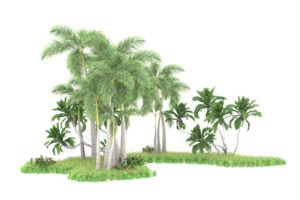 Realistic forest isolated on transparent background. 3d rendering - illustration png