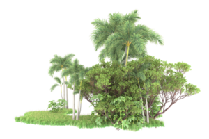 Realistic forest isolated on transparent background. 3d rendering - illustration png