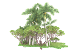 Realistic forest isolated on transparent background. 3d rendering - illustration png