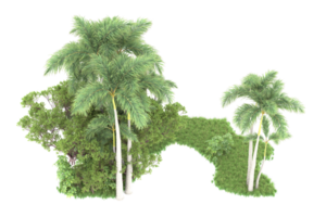 Realistic forest isolated on transparent background. 3d rendering - illustration png