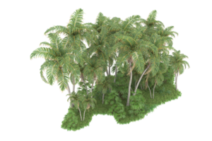 Realistic forest isolated on transparent background. 3d rendering - illustration png