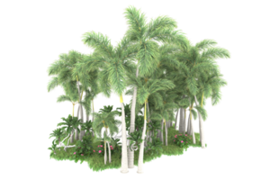 forêt réaliste isolée sur fond transparent. rendu 3d - illustration png