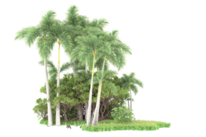 forêt réaliste isolée sur fond transparent. rendu 3d - illustration png