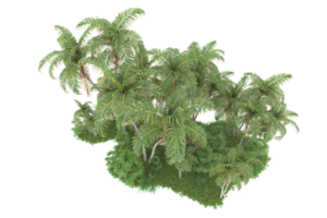 Realistic forest isolated on transparent background. 3d rendering - illustration png