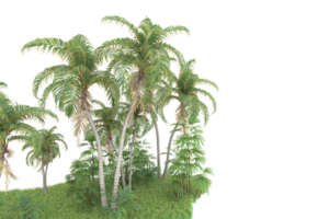 realistisk skog isolerat på transparent bakgrund. 3d tolkning - illustration png