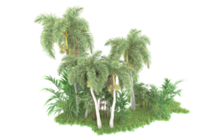 forêt réaliste isolée sur fond transparent. rendu 3d - illustration png