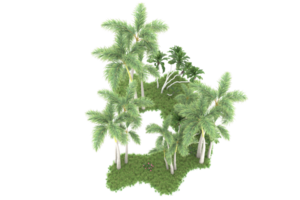 forêt réaliste isolée sur fond transparent. rendu 3d - illustration png