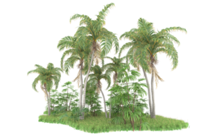 Realistic forest isolated on transparent background. 3d rendering - illustration png