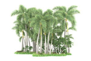 Realistic forest isolated on transparent background. 3d rendering - illustration png
