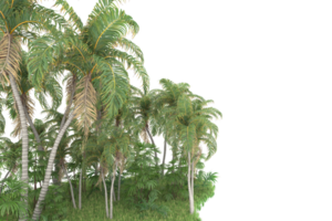 forêt réaliste isolée sur fond transparent. rendu 3d - illustration png