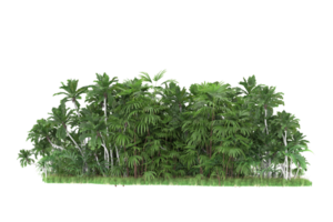 realistico foresta isolato su trasparente sfondo. 3d interpretazione - illustrazione png