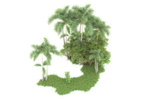 Realistic forest isolated on transparent background. 3d rendering - illustration png