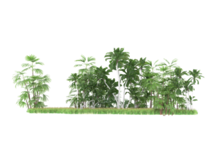 forêt réaliste isolée sur fond transparent. rendu 3d - illustration png