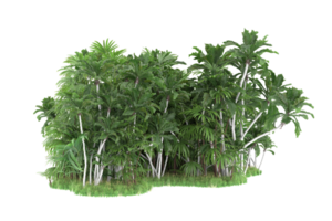 Realistic forest isolated on transparent background. 3d rendering - illustration png