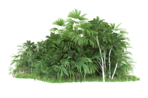 Realistic forest isolated on transparent background. 3d rendering - illustration png