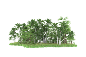 Realistic forest isolated on transparent background. 3d rendering - illustration png