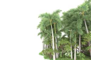 Realistic forest isolated on transparent background. 3d rendering - illustration png