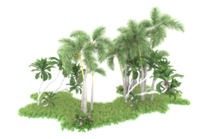 Realistic forest isolated on transparent background. 3d rendering - illustration png