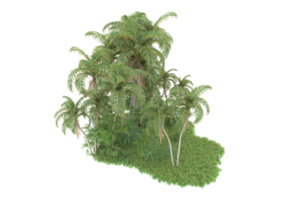 Realistic forest isolated on transparent background. 3d rendering - illustration png