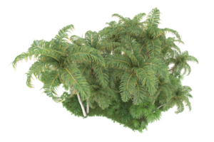 forêt réaliste isolée sur fond transparent. rendu 3d - illustration png