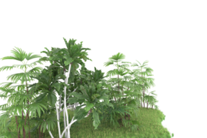 Realistic forest isolated on transparent background. 3d rendering - illustration png