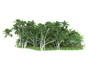 Realistic forest isolated on transparent background. 3d rendering - illustration png