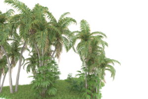 Realistic forest isolated on transparent background. 3d rendering - illustration png