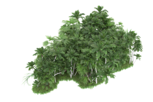 Realistic forest isolated on transparent background. 3d rendering - illustration png