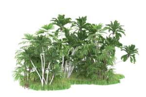 Realistic forest isolated on transparent background. 3d rendering - illustration png