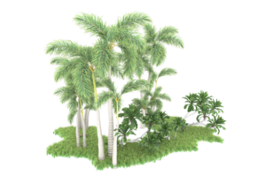 Realistic forest isolated on transparent background. 3d rendering - illustration png