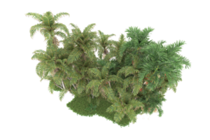 realistico foresta isolato su trasparente sfondo. 3d interpretazione - illustrazione png