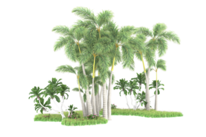 Realistic forest isolated on transparent background. 3d rendering - illustration png