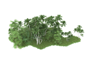 Realistic forest isolated on transparent background. 3d rendering - illustration png