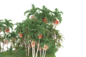 Realistic forest isolated on transparent background. 3d rendering - illustration png