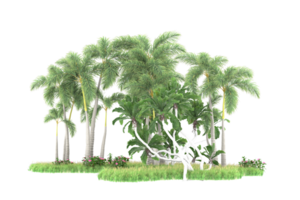 forêt réaliste isolée sur fond transparent. rendu 3d - illustration png