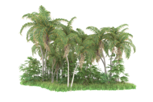 Realistic forest isolated on transparent background. 3d rendering - illustration png