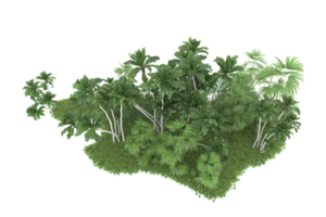 Realistic forest isolated on transparent background. 3d rendering - illustration png