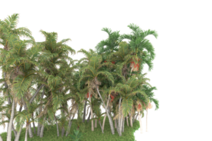 forêt réaliste isolée sur fond transparent. rendu 3d - illustration png