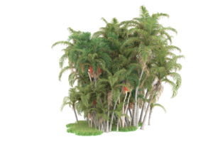 Realistic forest isolated on transparent background. 3d rendering - illustration png