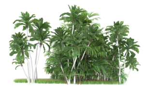 Realistic forest isolated on transparent background. 3d rendering - illustration png