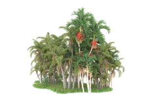 Realistic forest isolated on transparent background. 3d rendering - illustration png