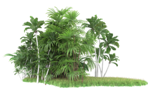 Realistic forest isolated on transparent background. 3d rendering - illustration png