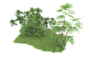 Realistic forest isolated on transparent background. 3d rendering - illustration png