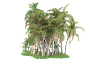 Realistic forest isolated on transparent background. 3d rendering - illustration png