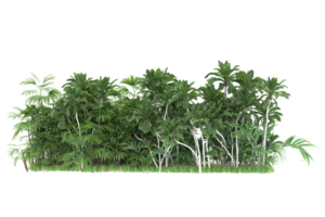 Realistic forest isolated on transparent background. 3d rendering - illustration png