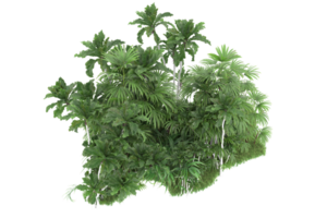 forêt réaliste isolée sur fond transparent. rendu 3d - illustration png