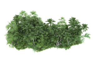 Realistic forest isolated on transparent background. 3d rendering - illustration png