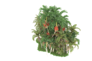 Realistic forest isolated on transparent background. 3d rendering - illustration png