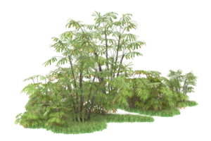 Realistic forest isolated on transparent background. 3d rendering - illustration png