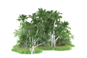 Realistic forest isolated on transparent background. 3d rendering - illustration png